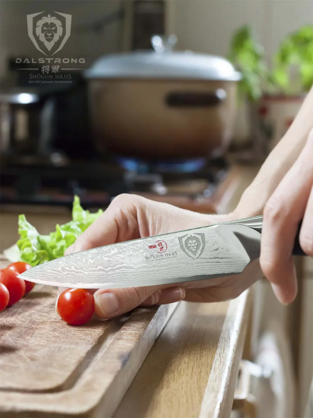 Paring Knife 3.5" | Shogun Series | ELITE | Dalstrong © - Image 7